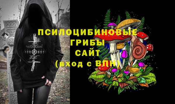 Альфа ПВП Козельск