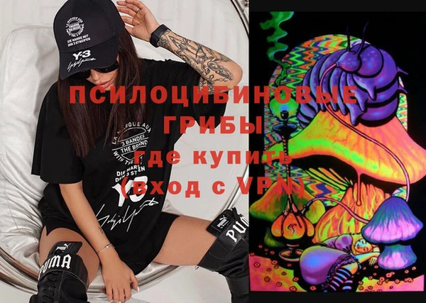 ГАЛЛЮЦИНОГЕННЫЕ ГРИБЫ Касимов