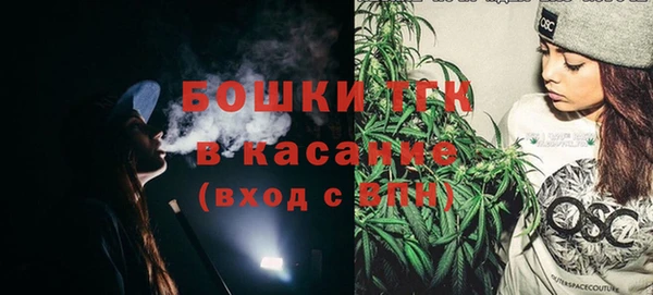 индика Карталы