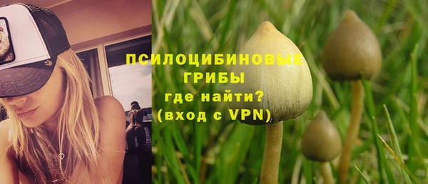 гашик Кодинск