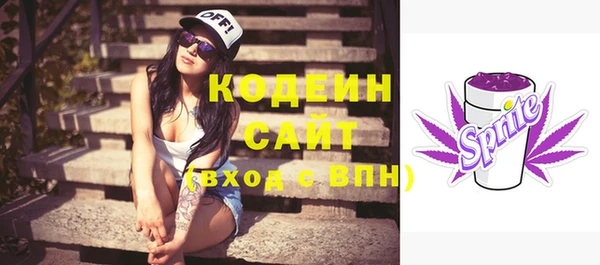 гашик Кодинск