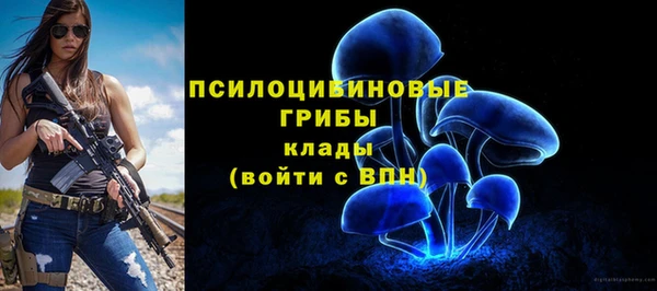 Альфа ПВП Козельск