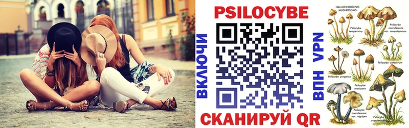 Галлюциногенные грибы Psilocybe  Кораблино 